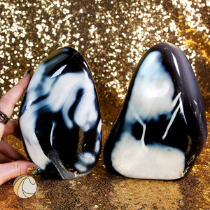 Orca Agate: Meaning, Chakra, Uses, and Properties