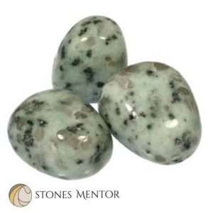 What is Kiwi Jasper? 10 Amazing Facts You Should Know!