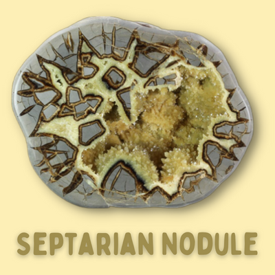 Septarian Nodule