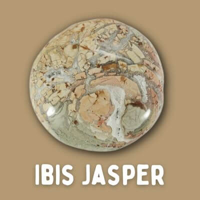 Ibis Jasper