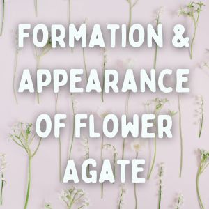 Formation & Appearance