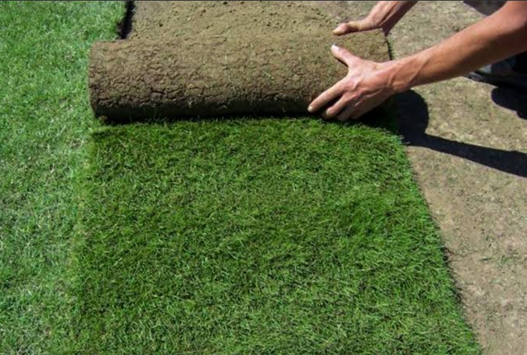 Unveiling the Secrets to Finding the Best Turf Supplier