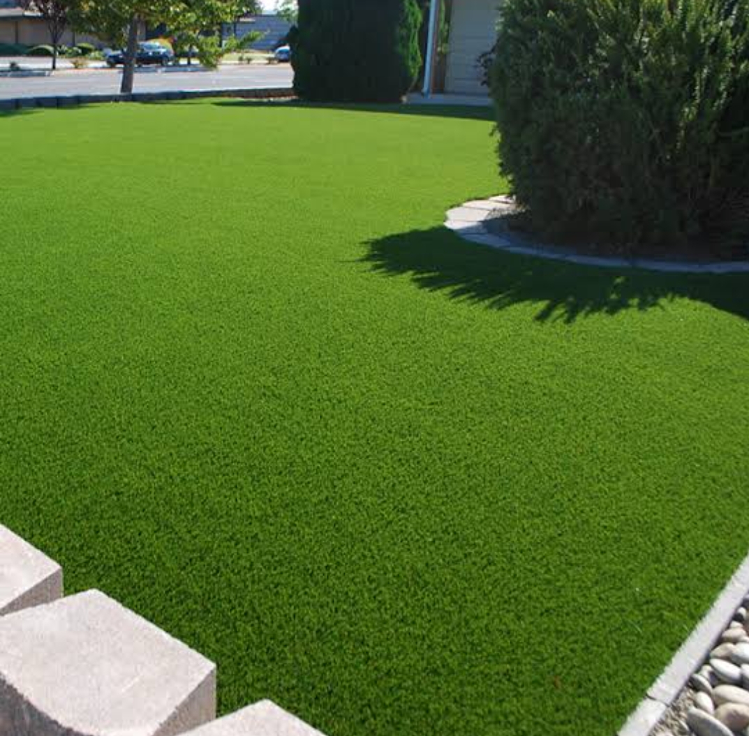 Top Reasons To Buy Sir Walter Turf Which Is A Luxurious Choice For Your Lawn