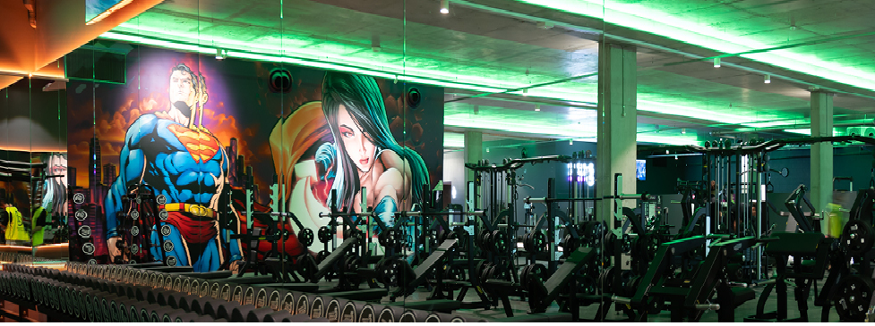 Your Ultimate Guide to Gyms in Albion Park, Queensland