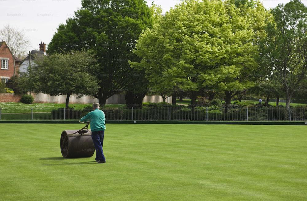 Common Errors in Lawn Care That Hinder the Growth of a Luxuriant Lawn