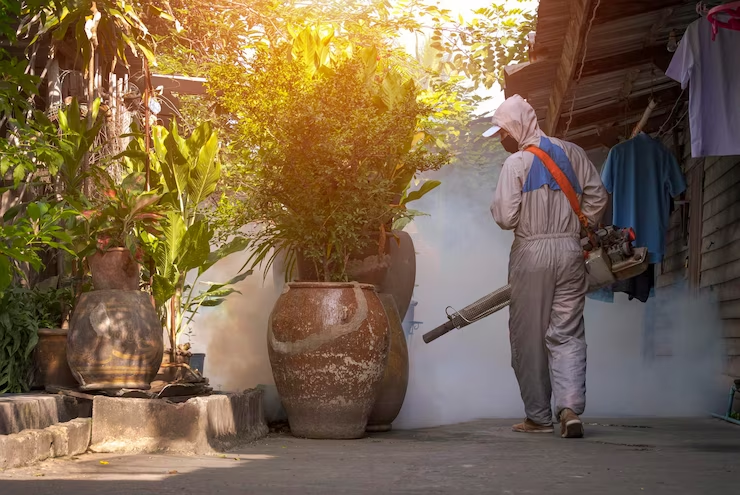 What Makes a Skill Termite Exterminator Effective