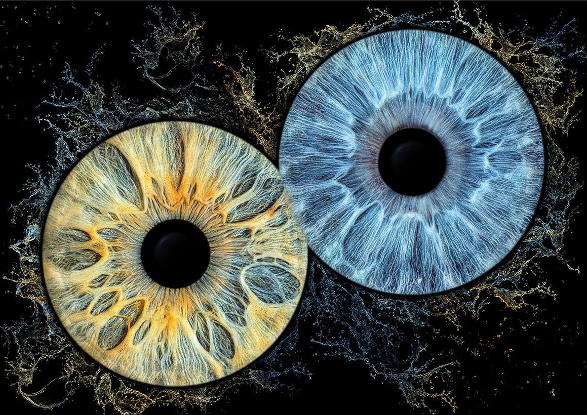 Unveiling the World of Iris Photography: A Glimpse into Nature’s Masterpiece