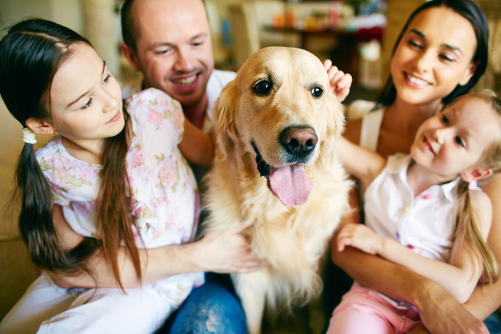 5 Factors to Consider Before Getting a Family Dog