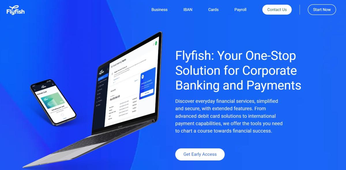 Flyfish Review – Dedicated Business IBAN Accounts for Different Businesses