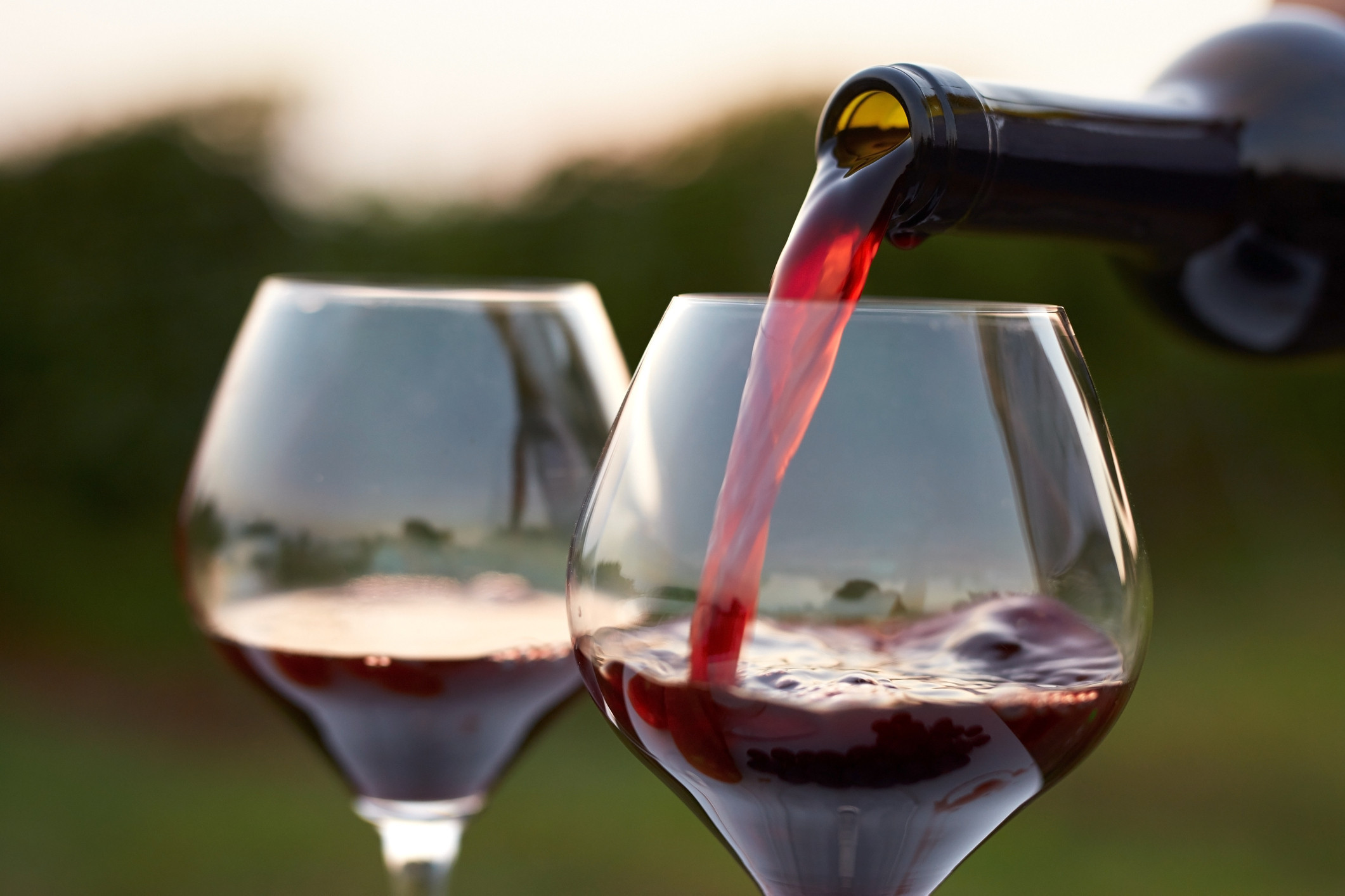 Why Wine is Good For You