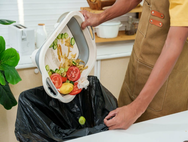 Green Gastronomy: How Restaurants Can Revolutionize Waste Practices