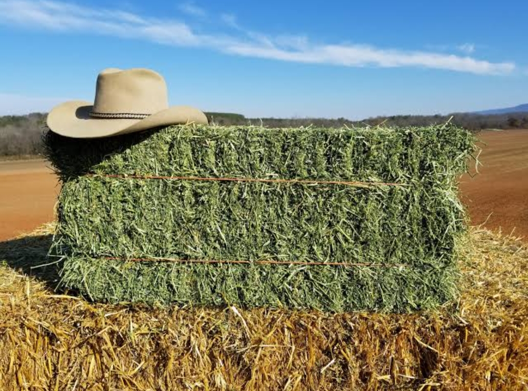 Optimal Storage Conditions for Alfalfa Hay Bales