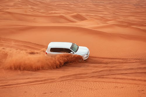 Swaying Through the Sands: Camel Riding in Dubai