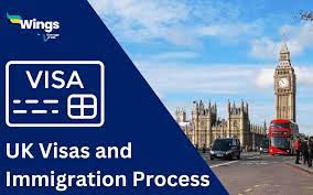 Navigating the UK Visit Visa Process: A Comprehensive Guide with Legal Insights