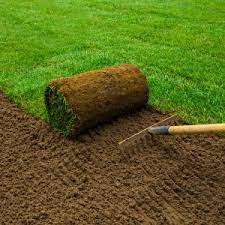 Unveiling the Green Carpet: A Comprehensive Guide to Grass Rolls and Amenity Grass Seed for Lush Lawns