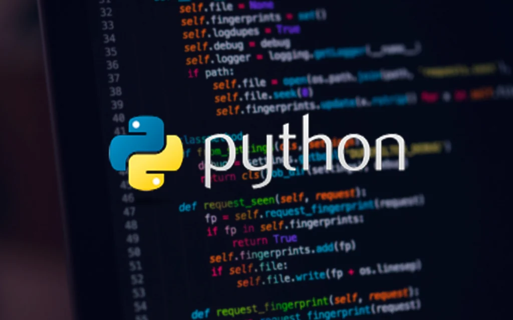 Python Development Services that Improve Your Business