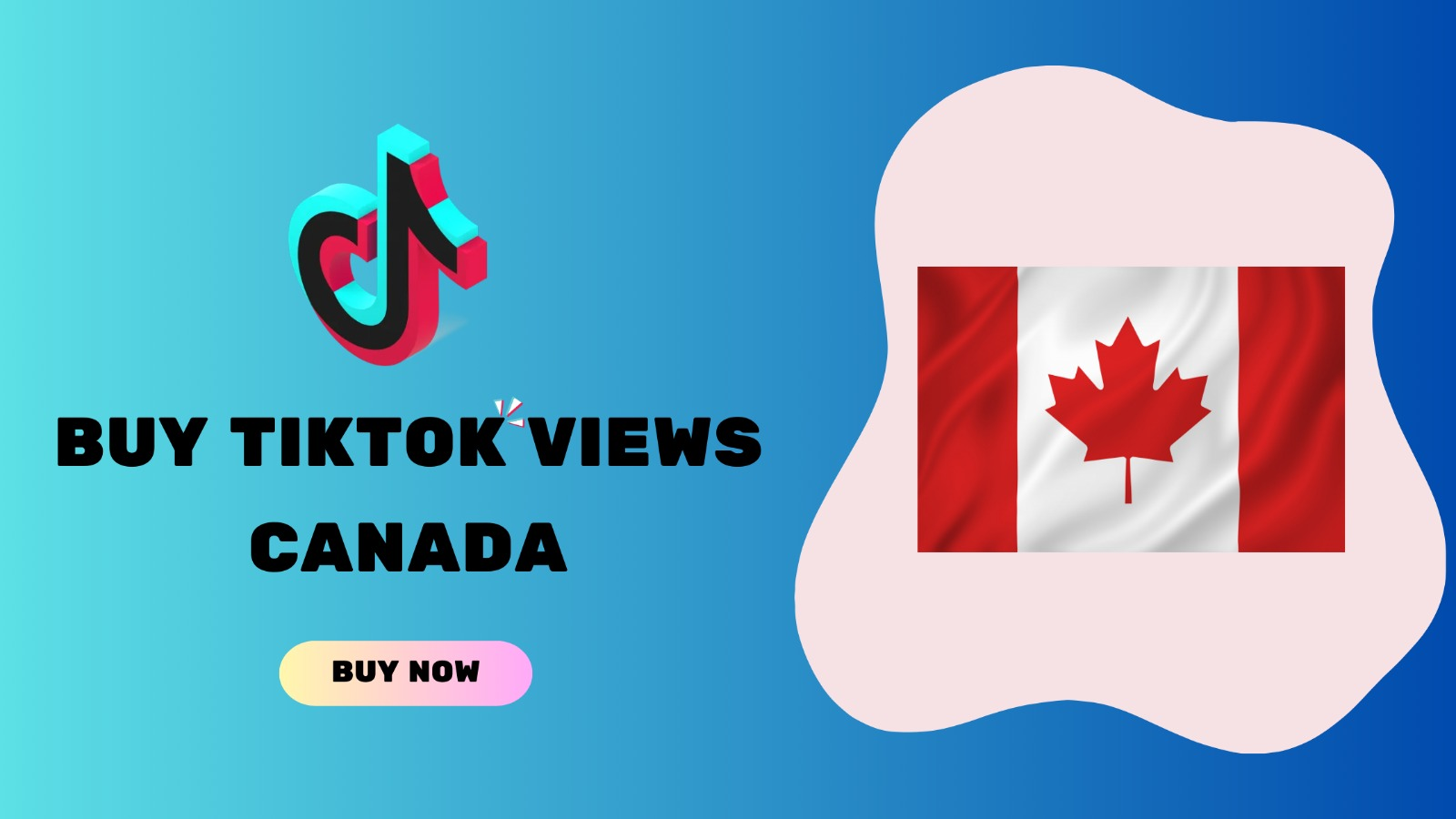7 Best Sites To Buy TikTok Views Canada In 2023 ( Get Active & Real ) 