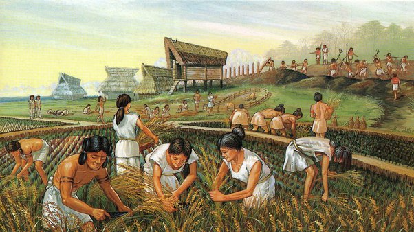 What is the contribution of Asia to the Scientific Revolution?