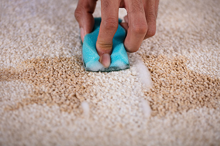Carpet Cleaning Myths Debunked: Are You Falling for These Common Mistakes?