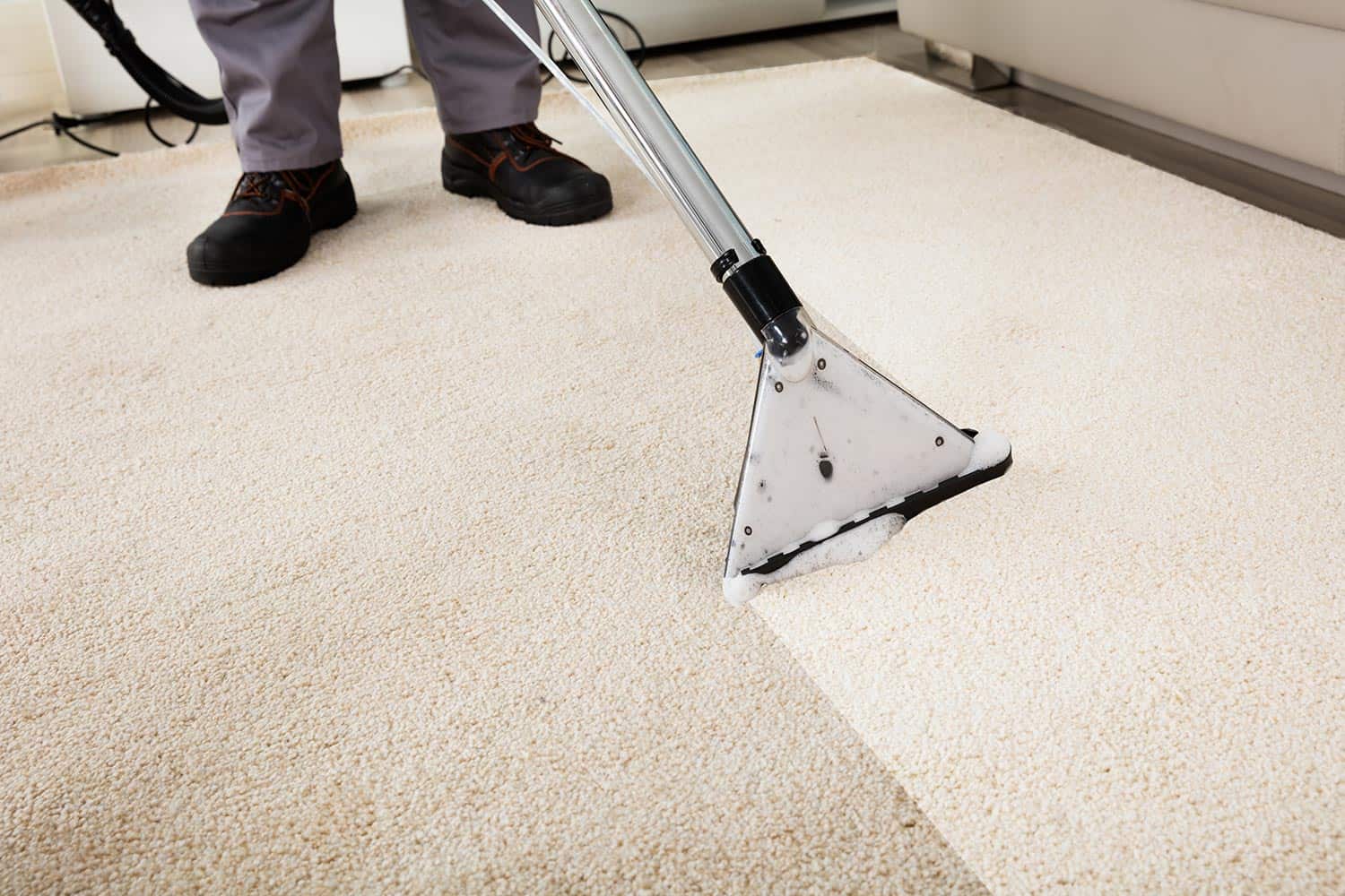 Why Timely Carpet Cleaning is Critical: The Costs of Delaying