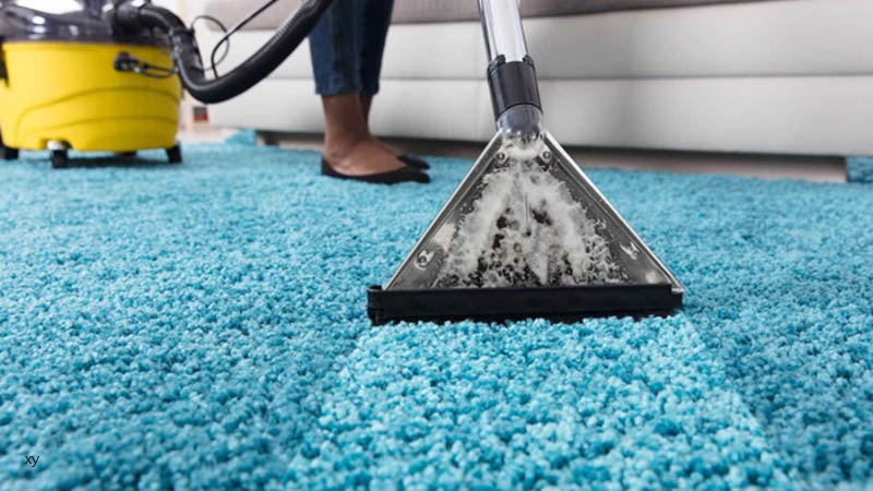 Immediate Freshness: Exploring Same-Day Carpet Cleaning and Emergency Services