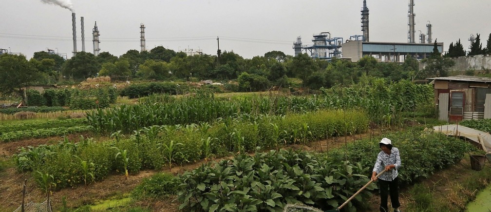 Three Different Industries Within Agriculture