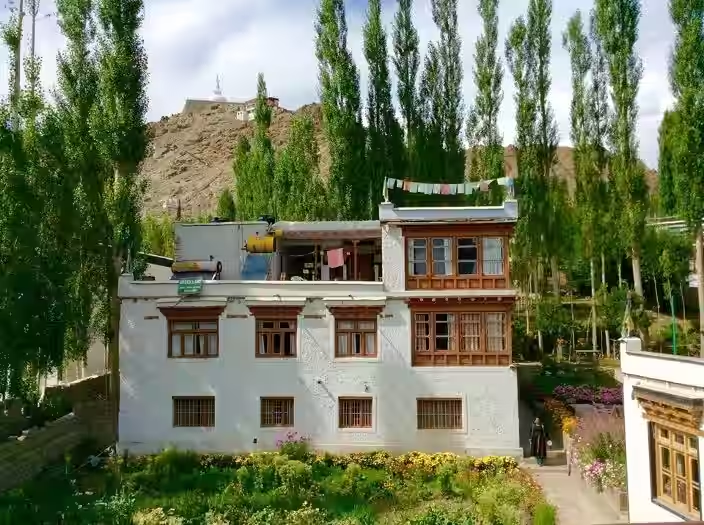 Homestays in Ladakh: Immersive Cultural Experiences