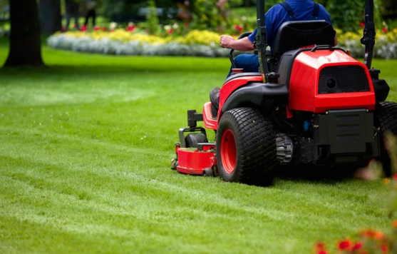 Can Leftover Cooking Water Benefit Your Lawn? A Sustainable Approach to Lawn Care