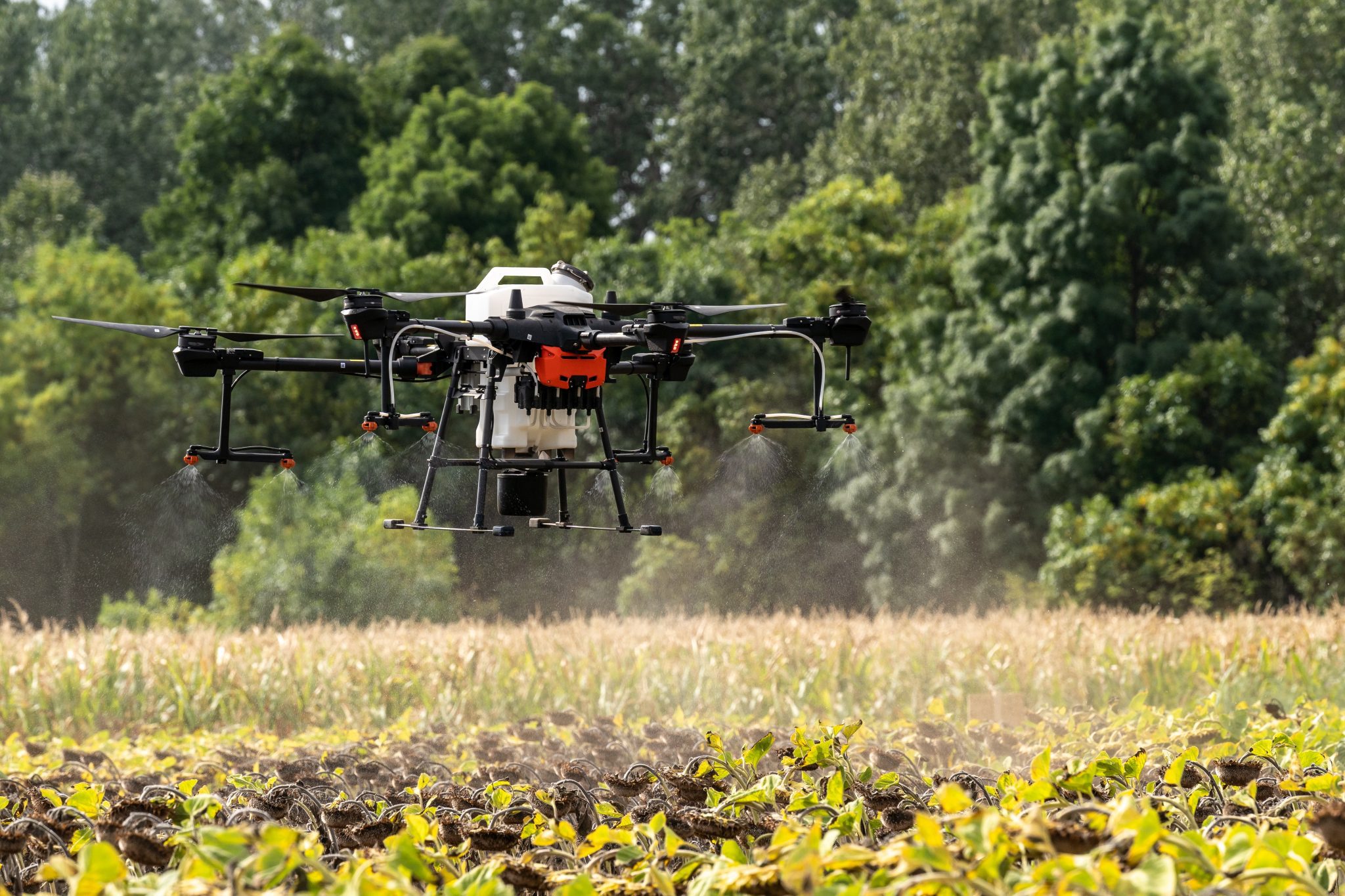 Ag Drones: Enhancing Precision Agriculture in Auburn, Alabama