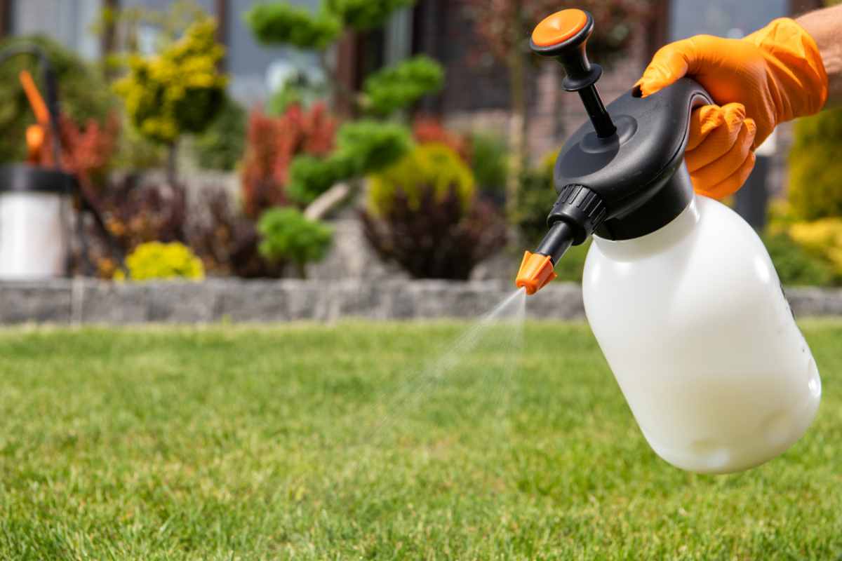 How To Compare And Contrast Different Lawn Herbicides