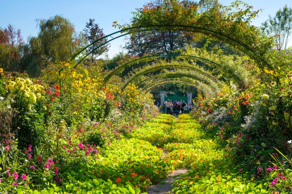 How to Create an Exceptional Beautiful Garden