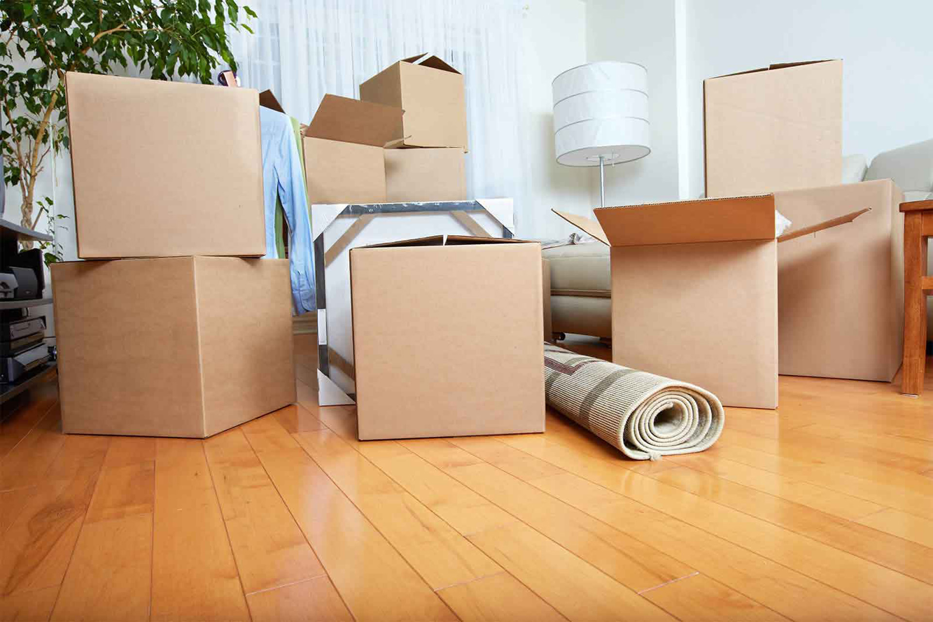 Top Budget-Friendly Tips for Your Melbourne House Move