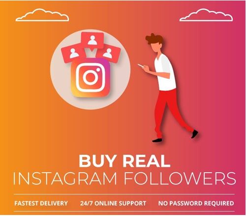 Why Choose Us to Buy Instagram Followers
