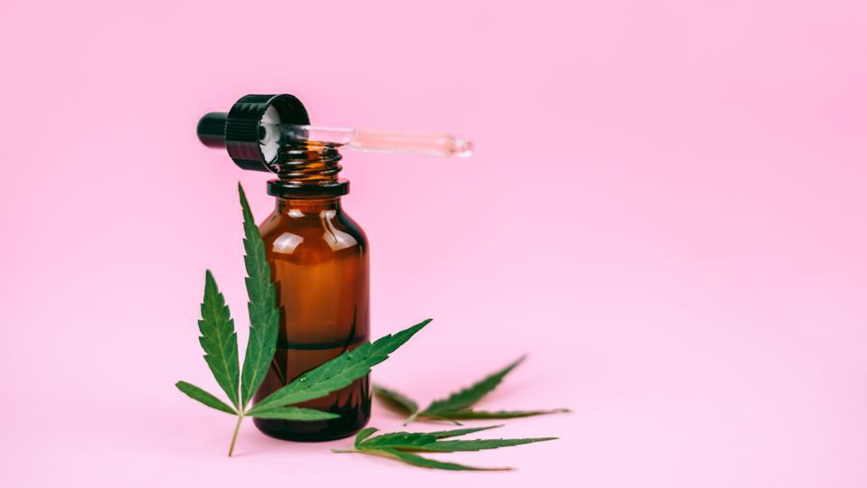 Navigating the World of CBD: A Comprehensive Guide to Buying CBD Online