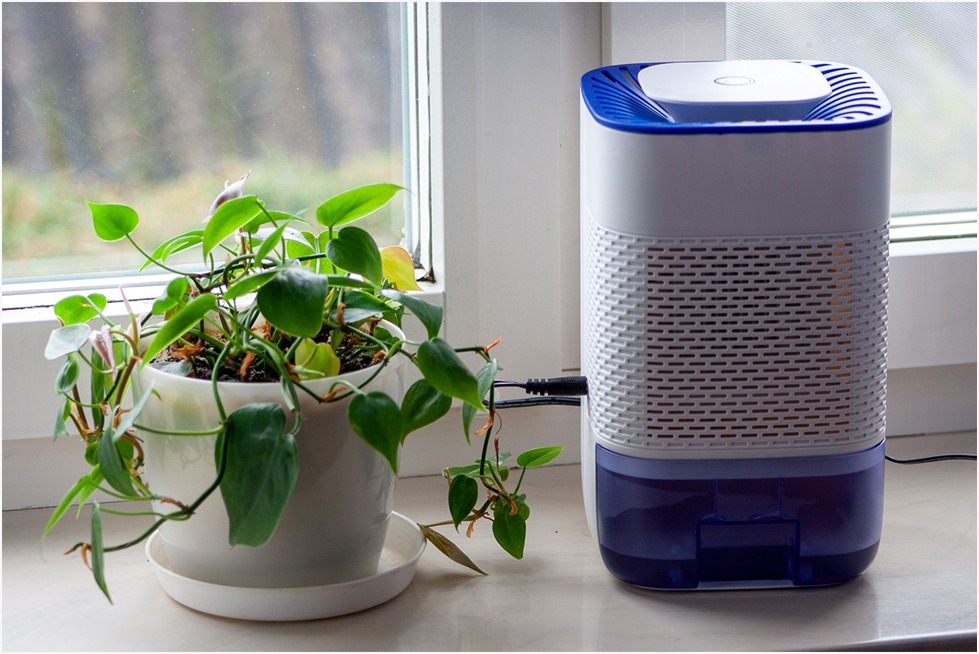 The Ultimate Guide to Choosing the Right Dehumidifier for Your Space