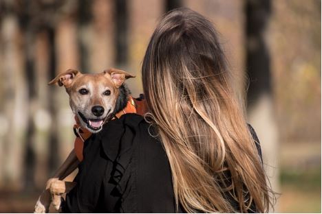 Prioritize Your Furry Friend’s Well- Being The Ultimate Guide to Pet Wellness Exams