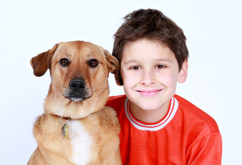 Prevention Strategies For Dog Bites And Children