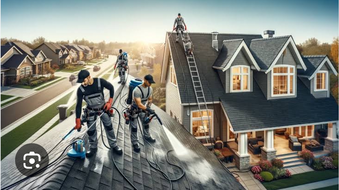 Benefits of Professional Roof Cleaning Services