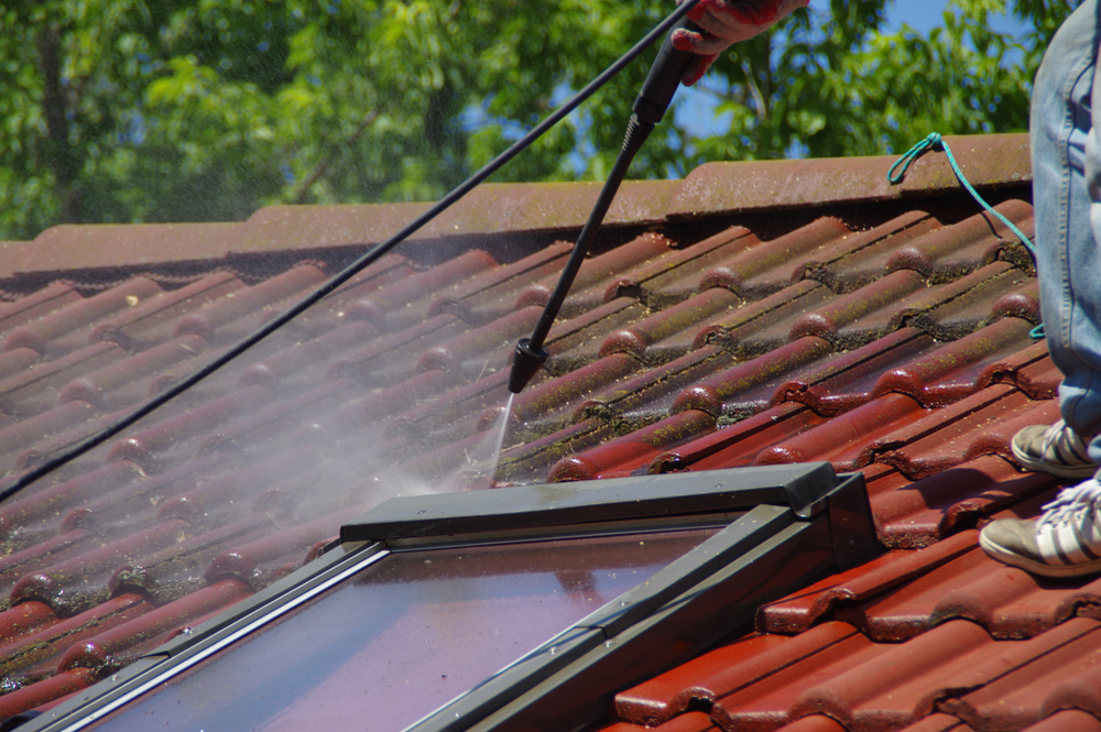 Benefits of Professional Roof Cleaning Services