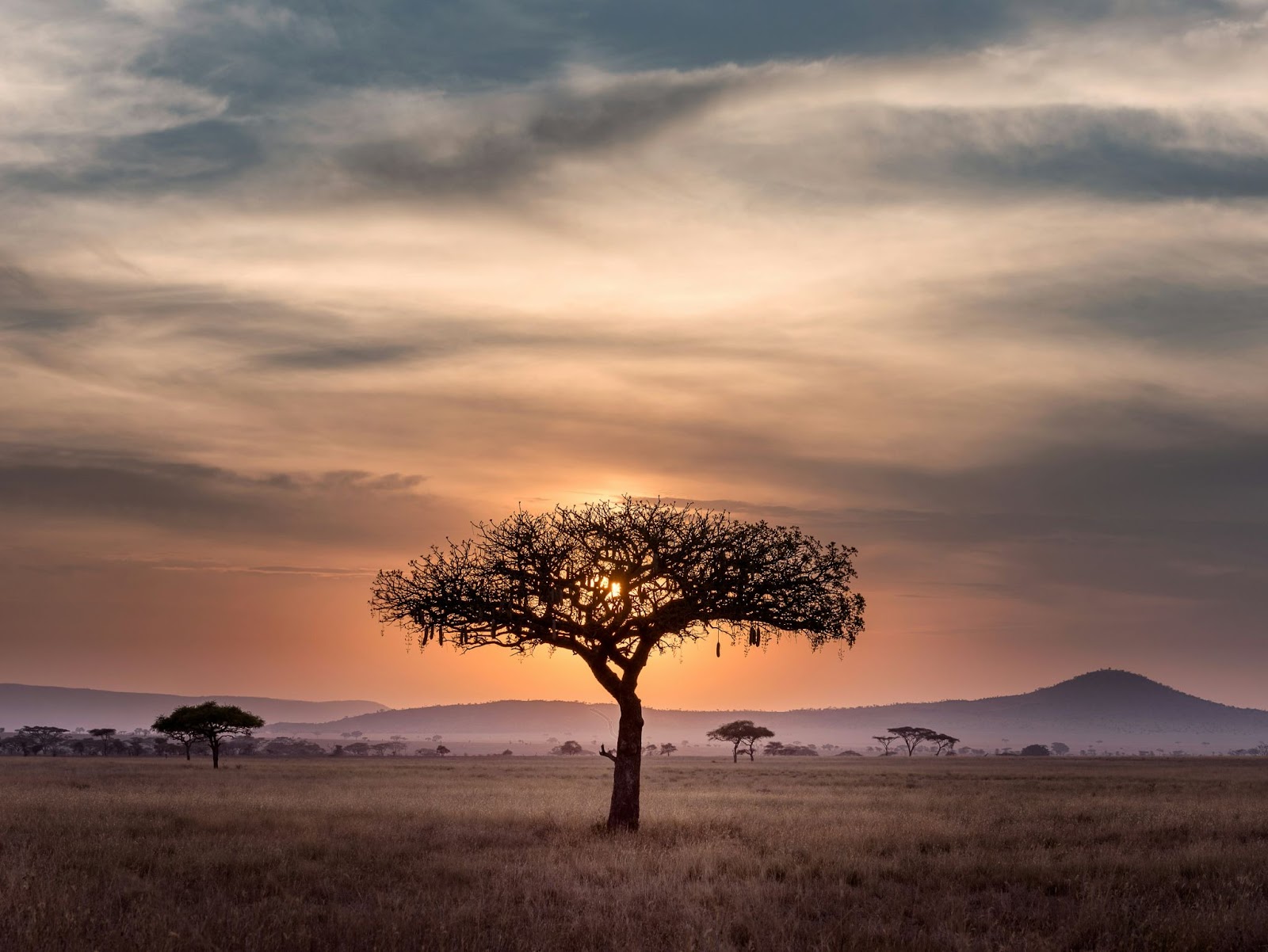 Unveiling the Jewel of Tanzania: A Serengeti National Park Safari Adventure