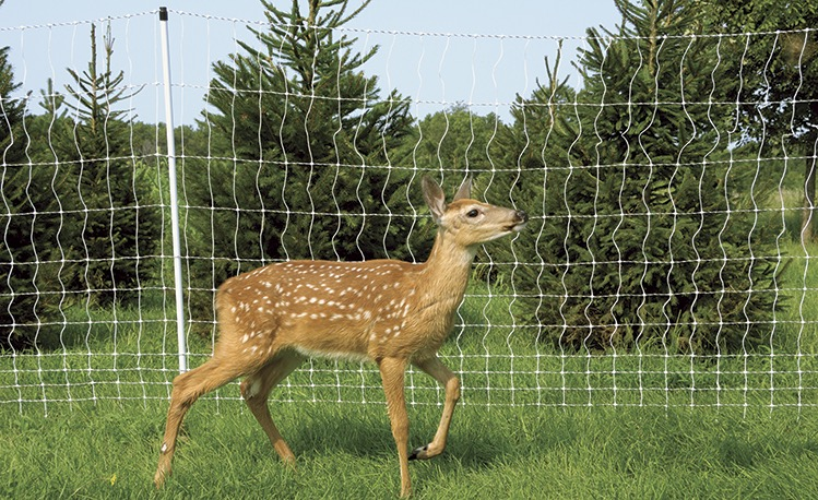 Steps to Install a Deer Fence