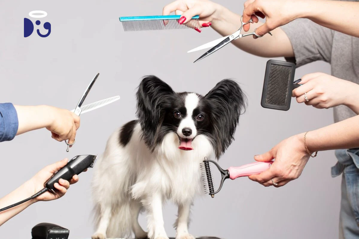 Dog Grooming with Compassion: The Dapper Dogs Commitment