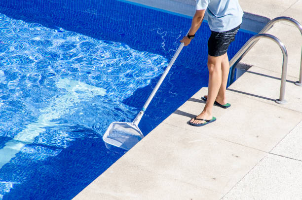 The Importance of Professional Pool Cleaning Services