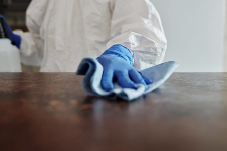 How Mold Remediation Protects Your Health and Property