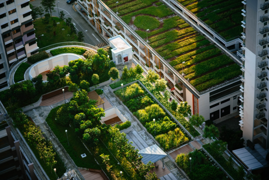 Sustainable Urban Living