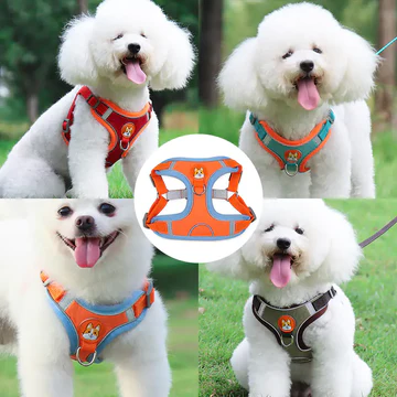 Navigating the World of Dog Leashes: An In-Depth Look at Retractable Dog Leashes and More from NimbleWags’ Premium Pet Products