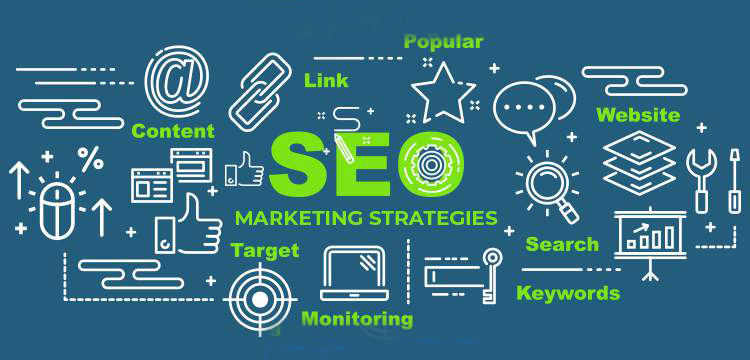 Elevate Your Brand With Tailored SEO Services