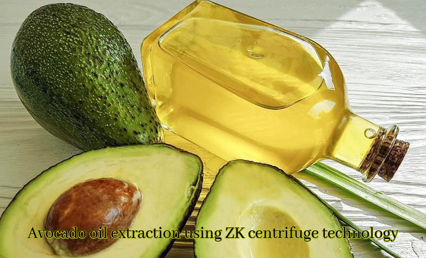 Avocado oil extraction using ZK centrifuge technology