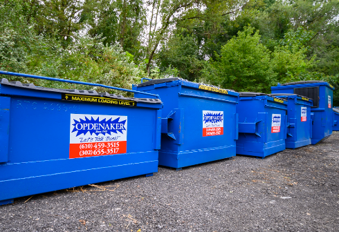 The Importance of Recycling: How Dumpster Rental Services Can Help