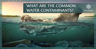 Understanding Water Contaminants: Common Pollutants and Their Risks